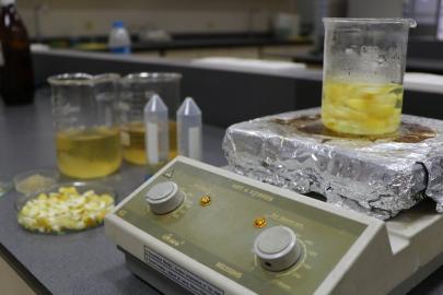 Ağaç kavunu kabuğundan çevreci ‘süper emici hidrojel’