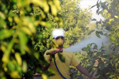 Bitkiye ilaç artık reçeteyle alınacak. 5 soruda "B-Reçete" uygulaması