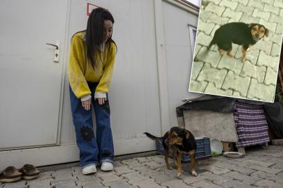 Bu video 30 milyon izlendi. "Hanimiş benim tontişim" ile tanınıyor. "Herkes Boncuk'u görmek için ulaşıyor"