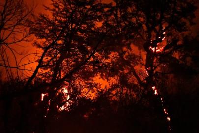 Arjantin’de orman yangınları: 50 bin hektar kül oldu