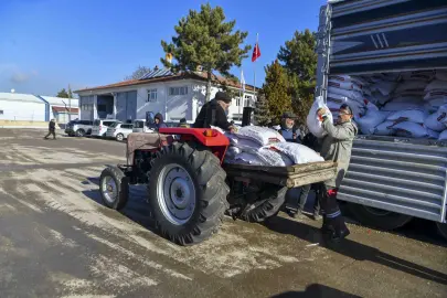 Başkentli üreticiye 1,5 milyon kilogram nohut tohumu desteği