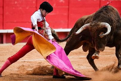 İspanya'da boğa karnavalı bu kez can aldı, 1 seyirci öldü