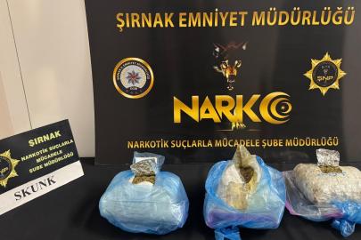 Şırnak'ta 1 kilo 431 gram Skunk ele geçirildi: 2 kişi tutuklandı