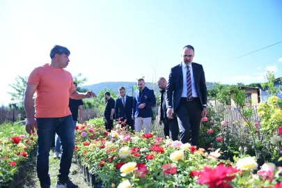 Bursa Kestel'de süs bitkileri üreticilerine destek