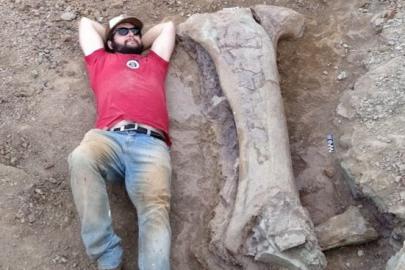 Dev dinozor türü keşfedildi. Bir kemiği bile insan boyunda