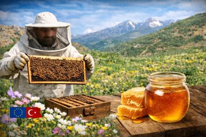 Doğal şifa Bingöl balı: AB tescilli eşsiz lezzet dünyaya açılıyor