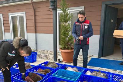 İstanbul’da su ürünleri denetiminde 169 kalkan balığına el konuldu