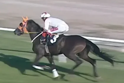 Kavurma yapılan at İngiliz basınında. Sahibi de duruma üzgün 