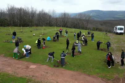 Kocaeli'de fidanlar engelsiz hayat için dikildi
