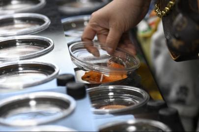 Pekin'de fuar doldu taştı. Sıra dışı evcil hayvanlar yok satıyor