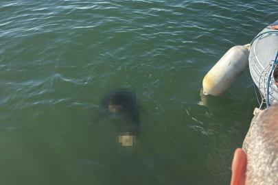 Tekerlekli sandalyesiyle denize düştü: Kurtarılamadı
