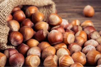 TMO'dan 'kabuklu fındık' açıklaması: Satışımız ve hazırlığımız bulunmamaktadır