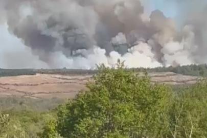 Beykoz'da orman yangını. Havadan müdahaleyle kontrol altına alındı