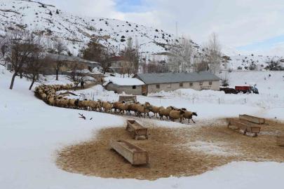Erzincan’da küçükbaş hayvancılığa destek projesi için başvurular başladı