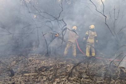 İstanbul'un 2 ilçesinde çıkan orman yangınları kontrol altına alındı