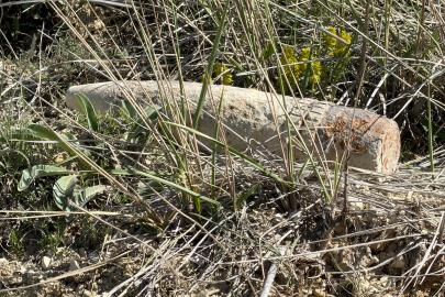 Mantar toplarken buldular. Ankara’da patlamamış top mermisi bulundu