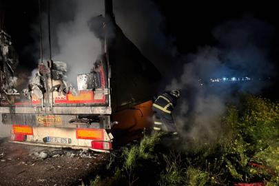 Mardin’de seyir halindeki tır'ın dorsesi alevlere teslim oldu