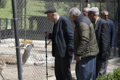 Mersin Büyükşehir, emeklileri doğayla buluşturuyor
