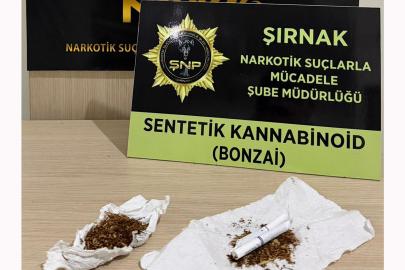 Şırnak'ta 610 milyon TL'lik kaçakçılık operasyonları