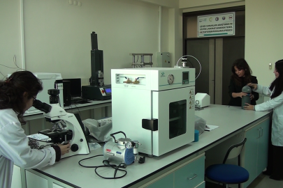 Zeytinle gelen temizlik: Mikroplastiklere karşı yeni nesil filtre