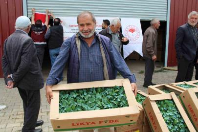 Bingöl’de 330 bin sebze fidesi üreticilere dağıtıldı