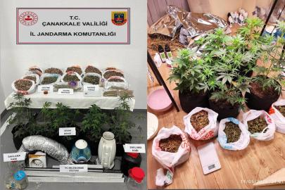 Çanakkale’de skunk operasyonu: 2 şüpheli gözaltında