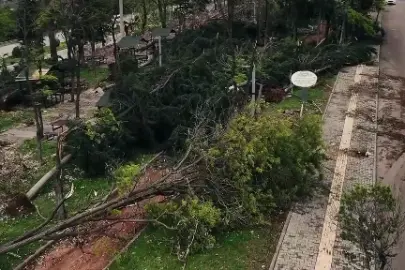 Gaziantep'e 50 milyon TL aktarıldı