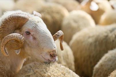 Kurban Bayramı ne zaman, bayram tatili 9 gün mü olacak? Bakan Ersoy'dan 9 günlük tatil açıklaması