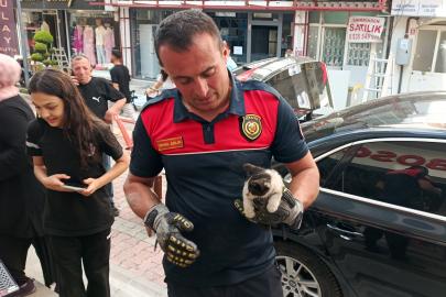 Otomobilin motoruna giren kedi güçlükle çıkarıldı