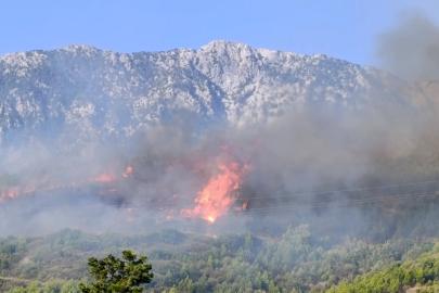 Alanya'da orman yangını (2)