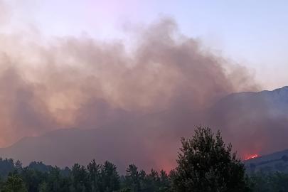 Alanya'da orman yangını (3)