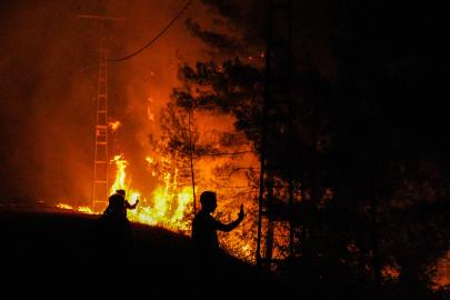 Alanya'da orman yangını (5)