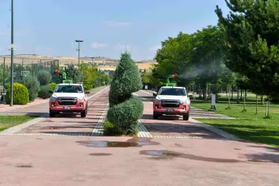 Ankara Büyükşehir'de ilaçlama seferberliği