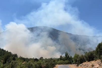 Antalya Akseki'deki orman yangınında 100 hektar alan zarar gördü