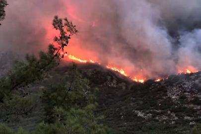 Antalya Kaş'ta orman yangını. Alevler rüzgarla büyüdü, müdahale sürüyor