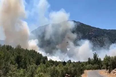 Antalya'da orman yangın: Ekipler müdahale ediyor