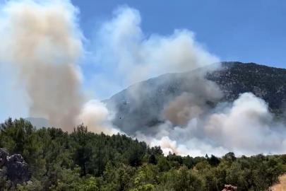 Antalya'da orman yangını