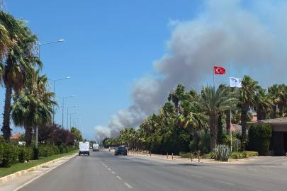 Antalya'da orman yangını