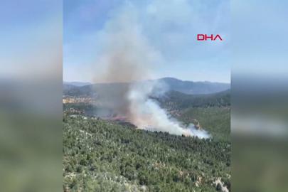 Antalya'da orman yangını: Alevlere havadan ve karadan müdahale