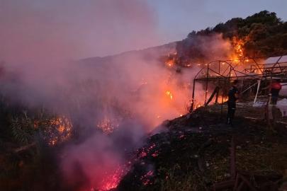 Antalya'daki yangınlardan 2'si söndürüldü, 1'i kontrol altında