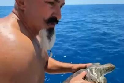 Çuvala dolanan deniz kaplumbağası kurtarıldı