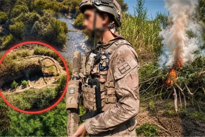 Diyarbakır'da uyuşturucu operasyonu... 387 bin 882 kök kenevir ve skunk ele geçirildi