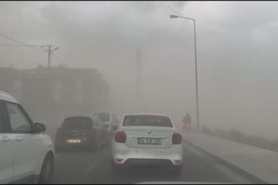 İstanbul'da fırtınada ağaçlar devrildi