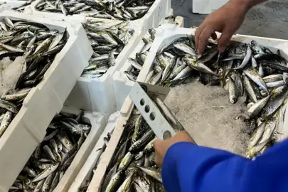 İzmir İl Tarım'dan su ürünlerine sıkı denetim