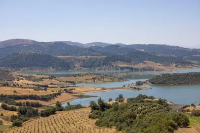 İzmir ve Manisa'dan dev çevre iş birliği... Gördes'e 2 bin dönümlük bal ormanı geliyor