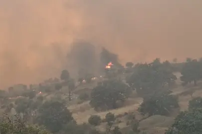 İzmir’in kuzeyinde orman yangını alarmı