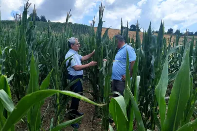 Kocaeli Büyükşehir her alanda çiftçinin yanında