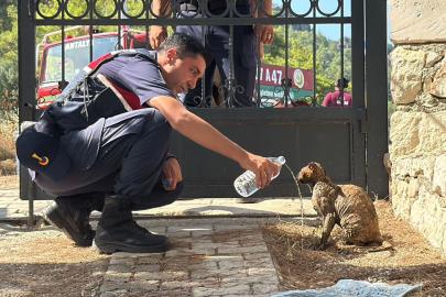Kumluca'da orman yangını (4)