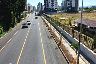 Mersin’de Gazi Paşa Caddesi 420 ağaçla yeşillendi