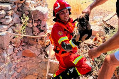 Milas’ta kuyuda mahsur kalan yavru köpeği itfaiye kurtardı